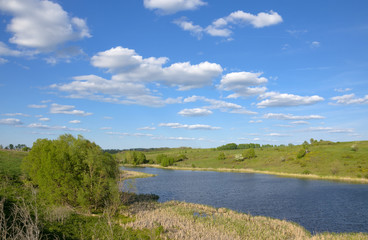 Summer landscape with river