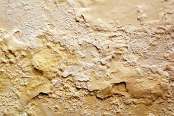 Wet walls covered with mold