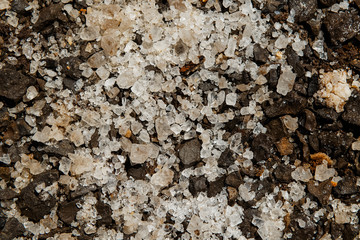 Natural salt with large crystals