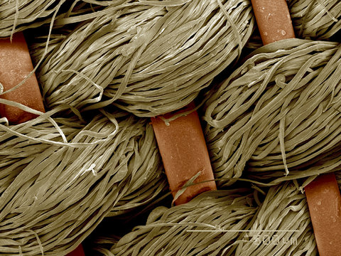 Piece of antique crinolin, horsehair and linen SEM