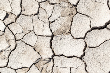 cracked earth as a background. texture