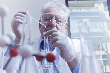Senior scientist working at laboratory