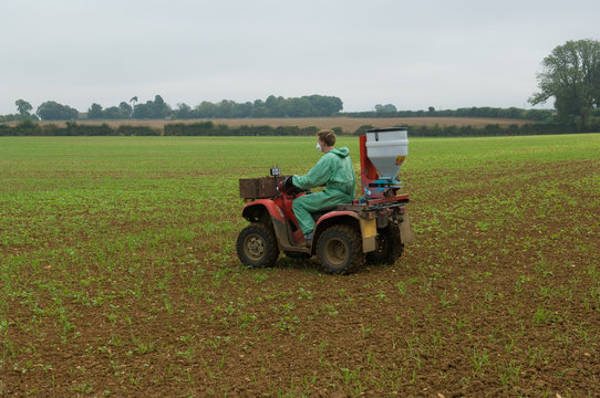 Young male farmer wearing protective mask spray crop in field