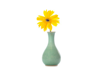 yellow flowers in a vase on a white background