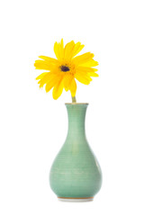 yellow flowers in a vase on a white background