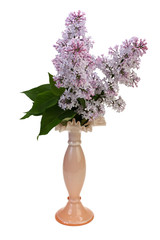Bouquet of lilac in a vase on white background with Clipping Path.