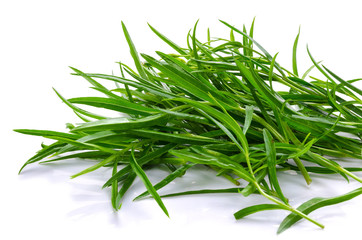 Tarragon herbs close up isolated on white