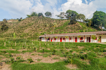 Fototapeta na wymiar Coffee plantantion house near Manizales, Colombia
