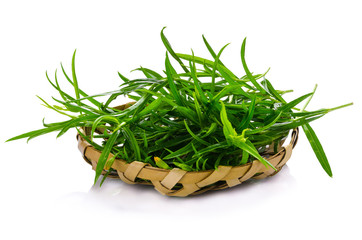 Tarragon herbs close up isolated on white