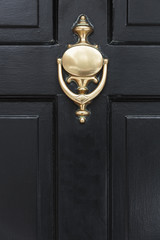 Front door close up of a brass door knocker
