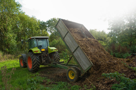 Tractor and trailer tipping manure in field