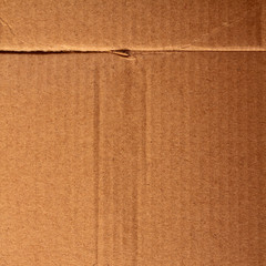 Fototapeta premium texture