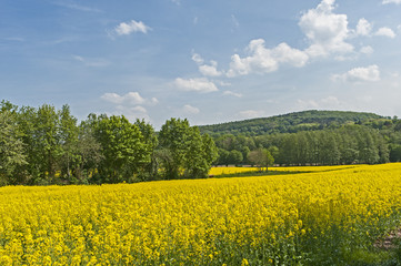 Obraz premium Weserbergland