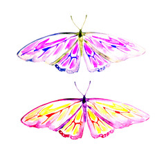 butterflies design