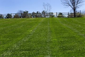 Freshly cut grass at the empty park in springtime
