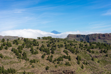Fototapeta na wymiar Pico de Teide, the highest mountain in Spain on the Island Tenerife. Huge clouds from trade winds over the national park Garajonay on La Gomera. The clouds comes from the Azores in circa 800m altitude