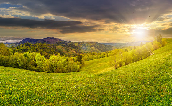 rural meadow with trees in mountains at sunset