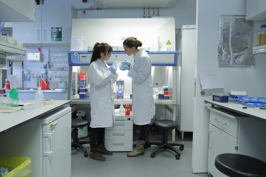 Biology lab technicians having discussion at work