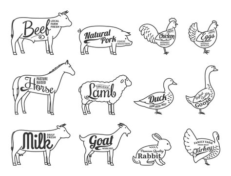 Vector Butchery Logo. Farm Animals Thin Line Icons Collection Is