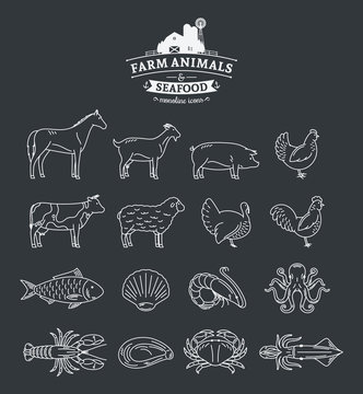 Vector Farm Animals and Seafood Thin Line Icons Collection