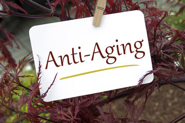 Roter japanischer Ahorn mit Anti-Aging