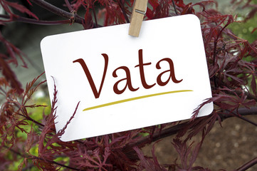 Stein mit Wassergarten und roter japanischer Ahorn mit Vata Ayurveda