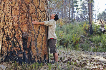 Young man in forest hugging large tree trunk, Los Angeles, California, USA