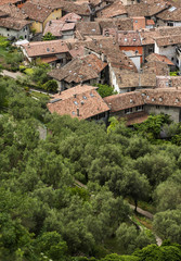 Fototapeta na wymiar Aerial view of medieval village