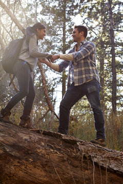Young man giving girlfriend a helping hand on fallen tree in forest, Los Angeles, California, USA