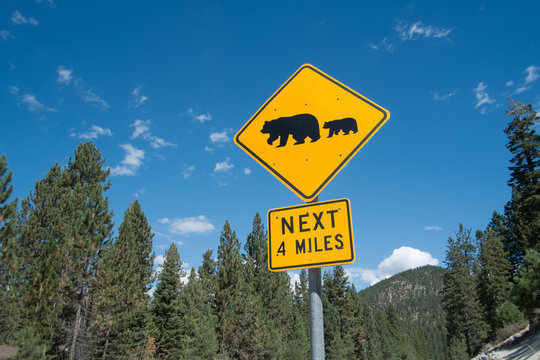 Bear warning sign on highway 56, South Lake Tahoe, Nevada, USA