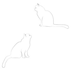 Silhouette of two cat. Vector illustration.