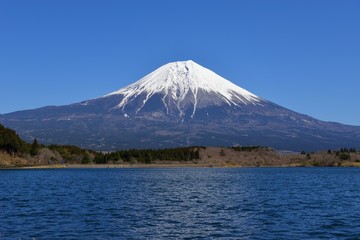 Fototapeta premium Mt. Fuji And Lake