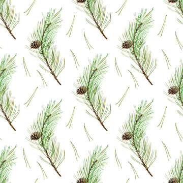 Pine branches seamless pattern.Coniferous twig and pinecone.Watercolor hand drawn illustration.