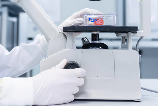 Cancer research laboratory, hands of scientist studying cells under microscope