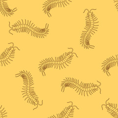 Seamless pattern with Centipede or Millipede on the textured yellow background