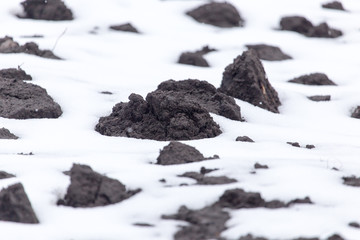 black soil in the snow on the nature
