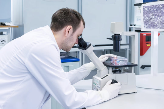 Cancer research laboratory, male scientist studying cells under microscope
