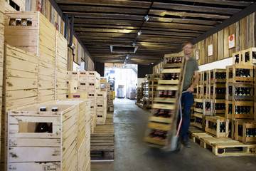 Man working in wine warehouse