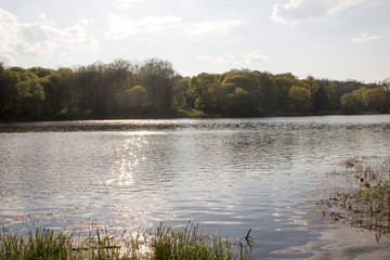 Fototapeta premium pond