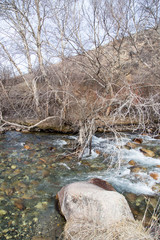 mountain river in Kazakhstan in nature