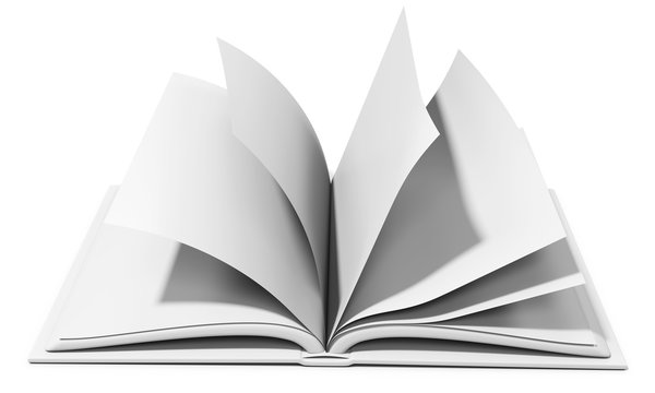 3d blank book with browsing pages