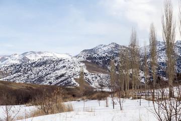 snow-capped mountains of the Tian Shan in winter
