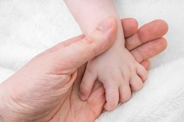 Child care concept. Father holds hand of his baby.