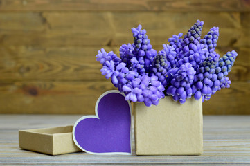 Muscari flowers arranged in gift box and blank heart-shaped tag