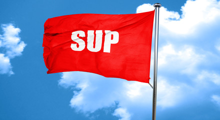 sup internet slang, 3D rendering, a red waving flag