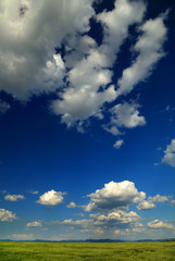 Field of wheat with cloudy blue sky