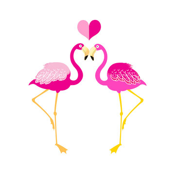 Graphics flamingo lovers