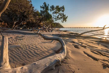 Foto auf Acrylglas kingfisher bay in australia - fraser island © Torsten Pursche