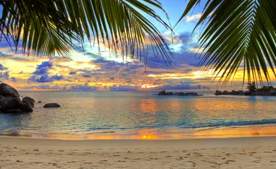 Photo sur Plexiglas Plage et mer Plage tropicale au coucher du soleil