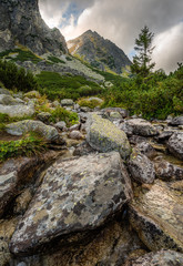 Fototapeta na wymiar Mountain Landscape with a Creek and Rocks in Foreground on Cloudy Day. Mlynicka Valley, High Tatra, Slovakia.